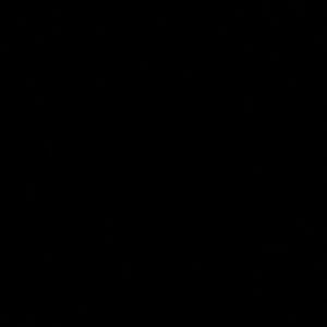 Meet your Posher, Maya